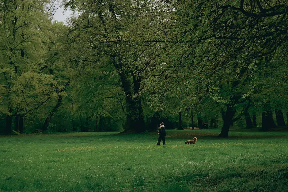 A Double Doodle standing in a grassy field