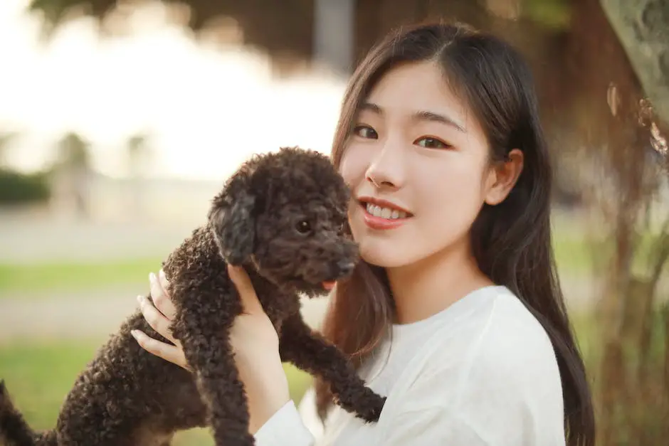 A Teacup Poodle being held by a person, looking happy and healthy