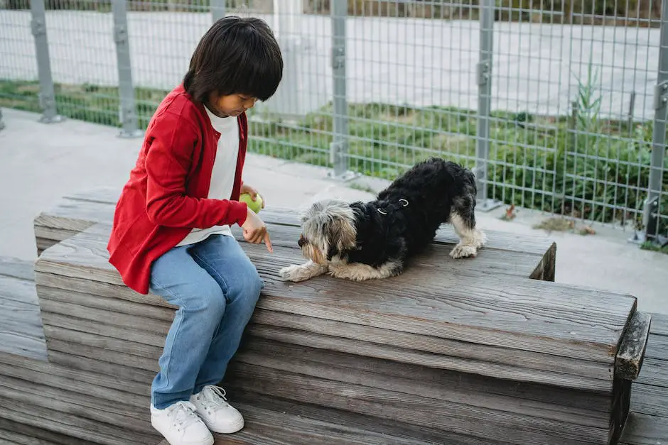 A Cockapoo dog playing fetch in a park with its owner.