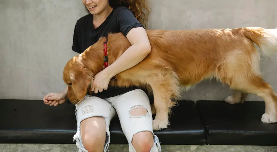 An image of a person training a dog by giving it treats after obeying commands.