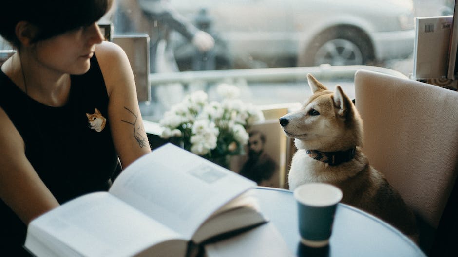 image of a Double Doodle sitting next to a person, displaying their friendly temperament