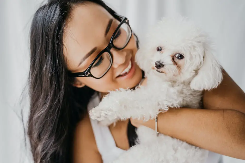 A cute little Teacup Poodle held by a woman with a smile in her face.